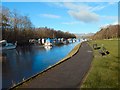 NS3982 : Riverside pathway at Balloch by Lairich Rig