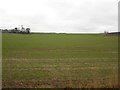 NT9258 : Arable land west of Bastleridge by Graham Robson