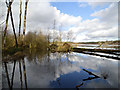 SJ5571 : Blakemere Moss, Delamere Forest (set of 2 images) by Clive Giddis