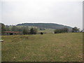 SO3384 : Castle earthworks and Sunnyhill view 2 - Lower Down, Shropshire by Martin Richard Phelan