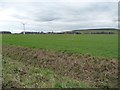 SE5520 : Farmland east of Womersley Grange / Grange Farm by Christine Johnstone