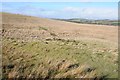 SO1365 : Rough grazing land near Penybont by Philip Halling