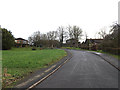 TM3388 : Woodland Drive, Bungay by Geographer