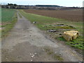 TF1103 : Track and footpath to Helpston Quarry by Richard Humphrey