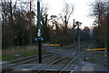 TQ3564 : Sunken Road crosses tram route, Coombe Lane tram stop, Croydon by Christopher Hilton