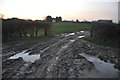 ST5585 : South Gloucestershire : Muddy Field by Lewis Clarke