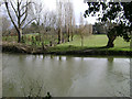 SP2965 : Floodmeadow, River Avon by Emscote Gardens, Warwick 2014, February 26, 13:44 by Robin Stott