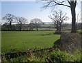  : Farmland near Churchpark Cottages by Derek Harper