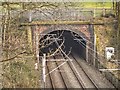 SD8203 : Heaton Park Tunnel by David Dixon