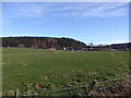 NJ5001 : View towards Coull Home Farm by Stanley Howe