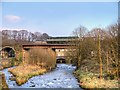 SD7915 : East Lancashire Railway, Brooksbottoms Viaduct by David Dixon