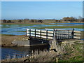 TF3801 : The "second" bridge on Guyhirn Wash - The Nene Washes by Richard Humphrey