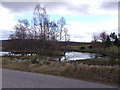 NO6492 : Islet in trout pond at Mill of Strachan by Stanley Howe