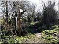 TM3689 : Angles Way footpath to Castle Road by Geographer