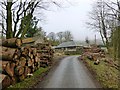 NT1254 : Log piles at Baddinsgill by Alan O'Dowd