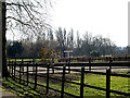 TM3691 : Former Ellingham Railway Station Platform by Geographer