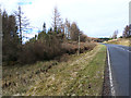 NT0413 : Windthrown larches at Divoty Knowes by Oliver Dixon