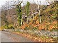 NN0726 : Bridge over the Falls of Cruachan by David Dixon