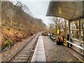 NN0826 : Railway Halt at Falls of Cruachan by David Dixon