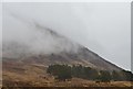 NG9430 : Pine trees and a cloudy hillside by Jim Barton