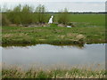 TL4784 : Dike on The Ouse Washes near Welches Dam by Richard Humphrey