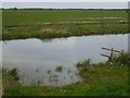 TL4684 : Watering hole on The Ouse Washes by Richard Humphrey