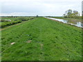 TL4683 : The bank of The Ouse Washes near Wardy Hill by Richard Humphrey