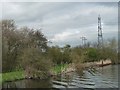 SE6108 : Little and large pylons, west bank, River Dun Navigation by Christine Johnstone