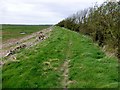 SD4560 : Lancashire Coastal Way NW Of Aldcliffe by Rude Health 