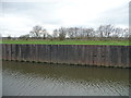 SE5805 : Piled flood bank, Wheatley Hall Cut by Christine Johnstone