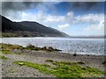 NY2227 : Bassenthwaite Lake from Blackstock Point by David Dixon