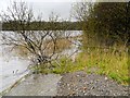 NY2032 : Northern Shore of Bassenthwaite Lake by David Dixon