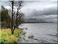 NY2032 : Bassenthwaite Lake by David Dixon