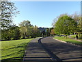 SU9850 : Campus Road on Stag Hill Campus at The University of Surrey by Geographer