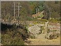 SU8963 : Electricity pylons, Bagshot Heath by Alan Hunt