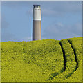 SK5027 : Rape field and chimney by David Lally