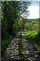 SO3669 : Footpath near Birtley by John Winder