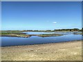 SD4214 : Martin Mere from Swanlink Hide by David Dixon