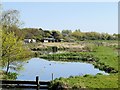 SD4214 : Martin Mere WWT Centre, View from Ron Barker Hide by David Dixon