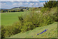 TQ2252 : Above the North Downs Way by Ian Capper