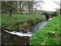 SE8933 : Weir on Hotham Beck, east side of The Island by Christine Johnstone