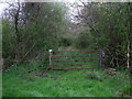 SU0789 : Bridleway near Coxhill Farm by Vieve Forward