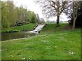 TQ8353 : Water cascade in Leeds Castle grounds by Paul Gillett