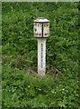 SK4435 : Old milepost near Risley by Alan Murray-Rust