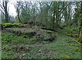 NS3878 : Limestone outcrops in Craigandro Wood by Lairich Rig