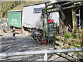 SH6213 : Organic pigs having a drink at Ynysgyfflog Barn Farm by liz dawson