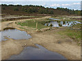 SU8840 : Hankley Common by Alan Hunt