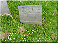 SK6933 : Belvoir Angel, St Mary's old church yard, Colston Bassett by Alan Murray-Rust