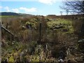 NS3284 : Drainage channel beside field boundary by Lairich Rig