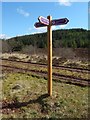 NS3482 : Signpost on the John Muir Way by Lairich Rig